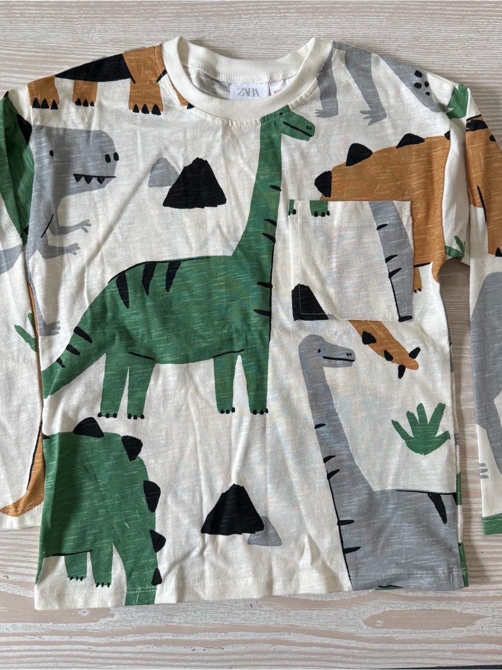 Zara NWT Green Dino Print Long-Sleeve Kids Shirt